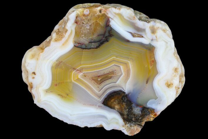 Beautiful Condor Agate From Argentina - Cut/Polished Face #79604